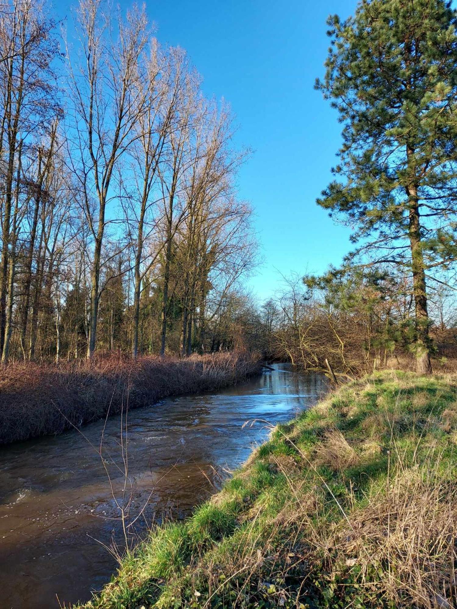 Rustig Gelegen Chalet Kapeki Met Tuin Aan Het Water ゲール エクステリア 写真