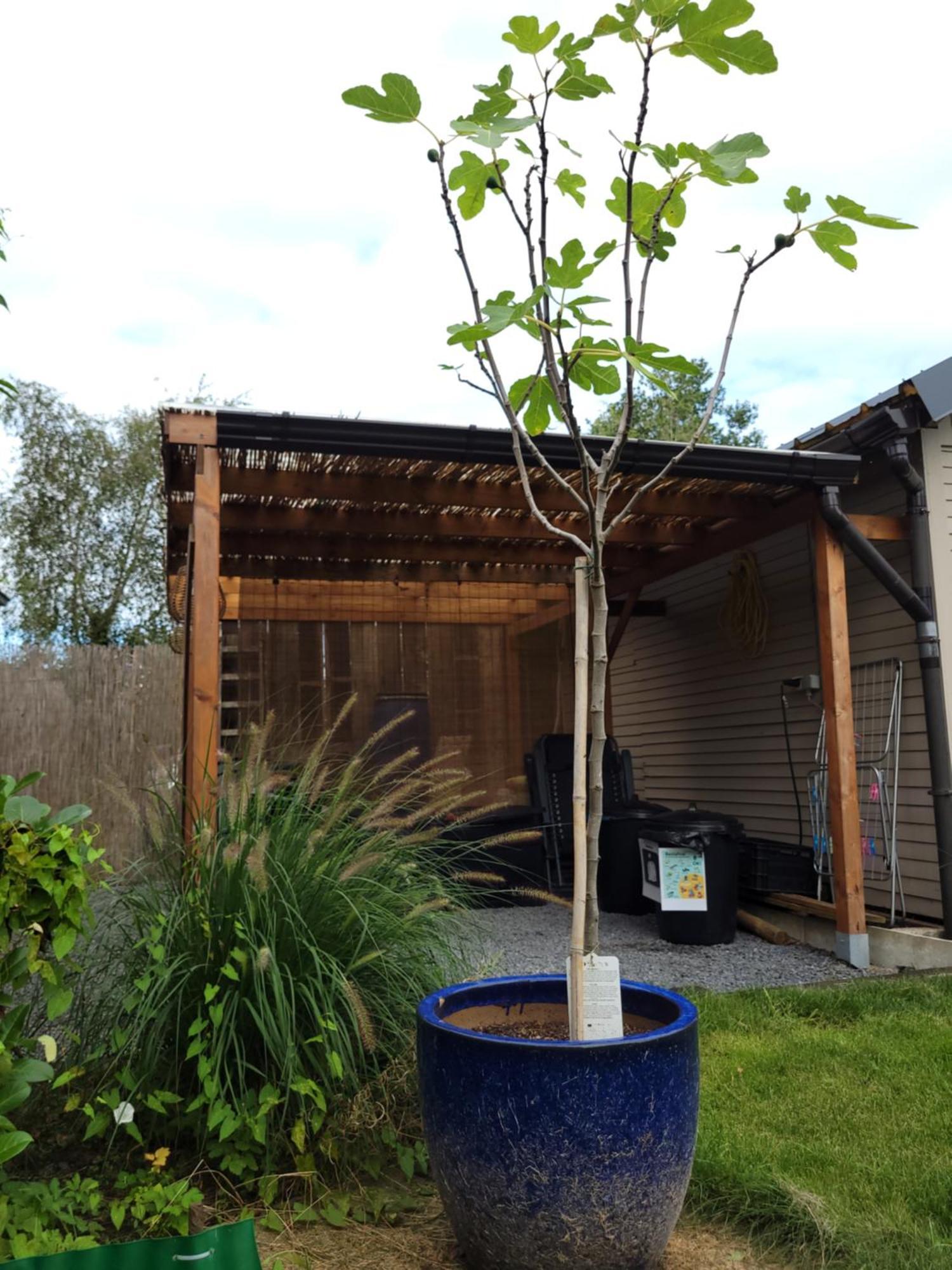 Rustig Gelegen Chalet Kapeki Met Tuin Aan Het Water ゲール エクステリア 写真